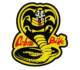Cobra Bike Moto Servicio